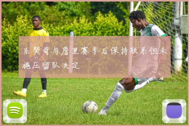 东契奇与詹里赛季后保持联系但未施压留队决定