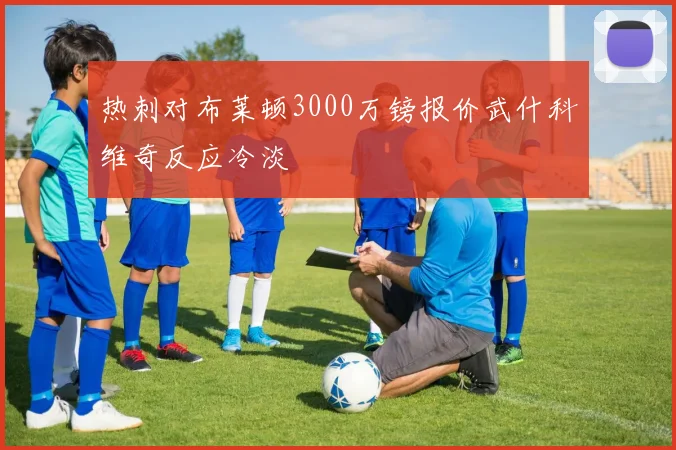 热刺对布莱顿3000万镑报价武什科维奇反应冷淡